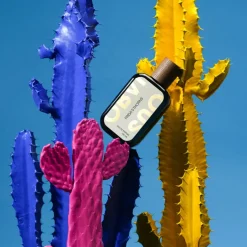 Florales | Gourmand<Obvious Frida's Thorns
