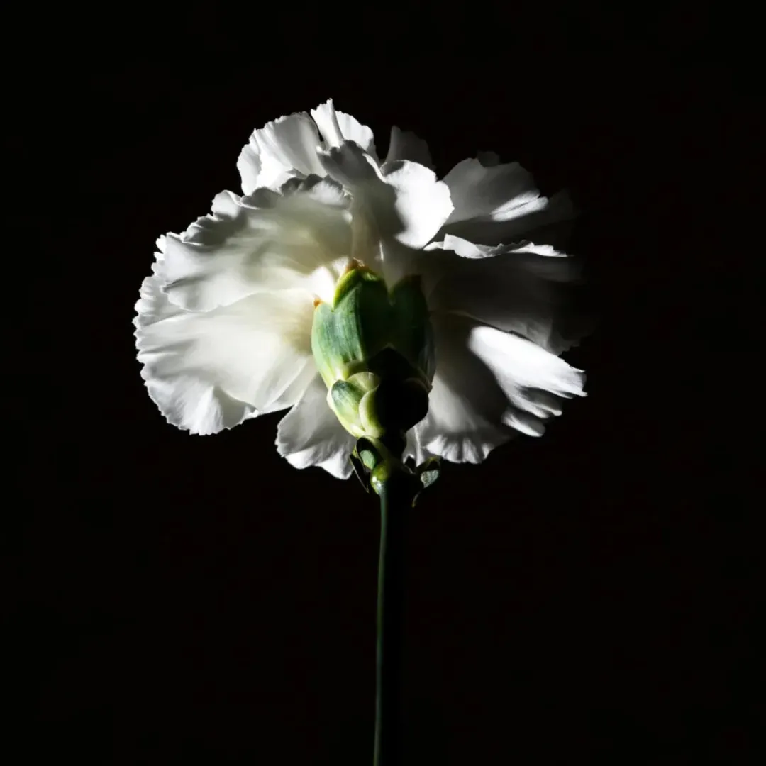 Florales<BDK Parfums Hair Perfume - Pas Ce Soir