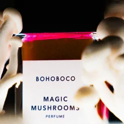 Amaderados<Bohoboco Magic Mushrooms