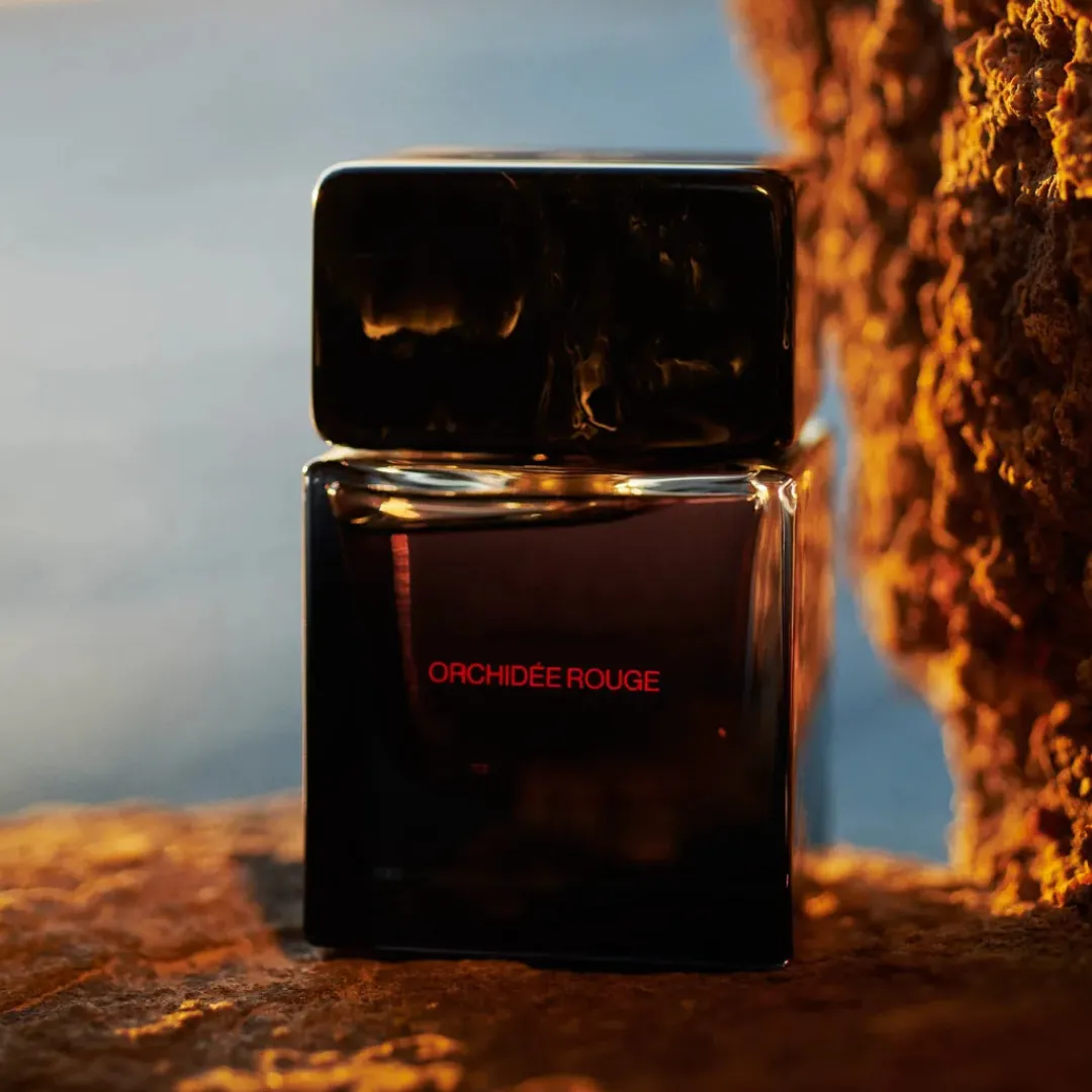 Ámbar<SORA DORA Orchidée Rouge