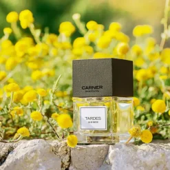 Amaderados<Carner Barcelona Tardes