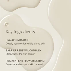 Cremas Hidratantes | Sérums<ILIA Beauty The Base Face Milk