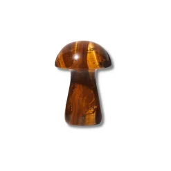 Beauty Tools<Herbar The Gua-Shroom