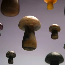 Beauty Tools<Herbar The Gua-Shroom